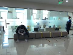 -松乔体检(亦庄店)
