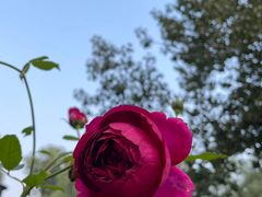 -廊坊文化艺术中心