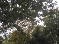 -丰台花园