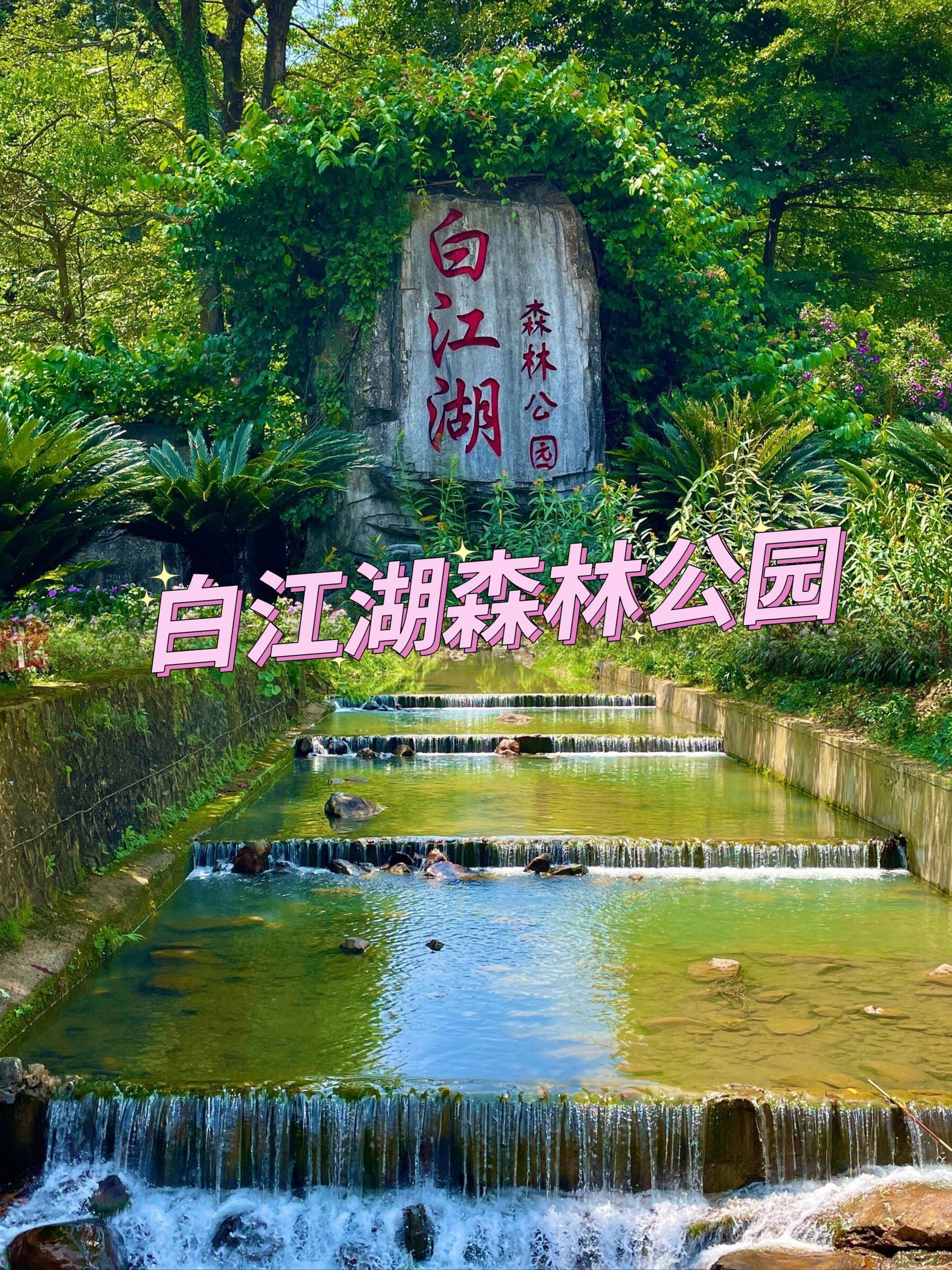 广州周边游新宠:白江湖森林公园清凉之旅!
