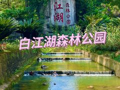 -广州白江湖森林公园
