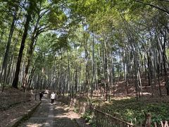 -杭州黄龙洞