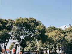 -上海市民办金苹果学校