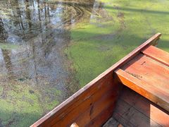 -渌洋湖湿地公园