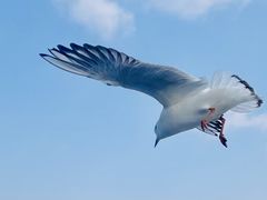 -海埂大坝