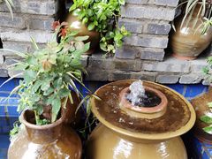-稻花香土菜馆