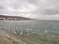 -青海湖国家重点风景名胜区