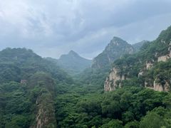 -大岭沟猕猴桃谷风景区