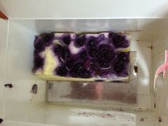 穀屋&nbsp;House&nbsp;Of&nbsp;Flour(张江店)-榖屋house of flour(张江首店)