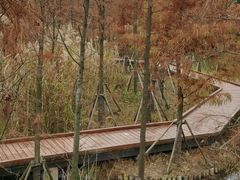 -昆山城市生态森林公园