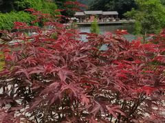 -广州市帽峰山景区