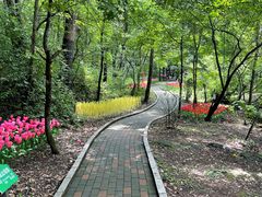 -吉林市朱雀山国家森林公园