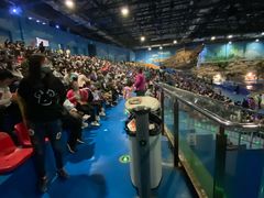 -华夏文旅海洋公园