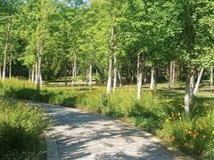 -吉庆街美食广场