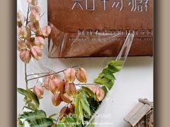 -知物癖(牛王庙店)