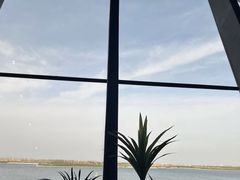 -抱抱地球咖啡馆(国家海洋博物馆店)