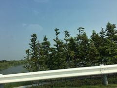 -上海崇明金茂凯悦酒店