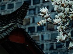 -海窝子古镇