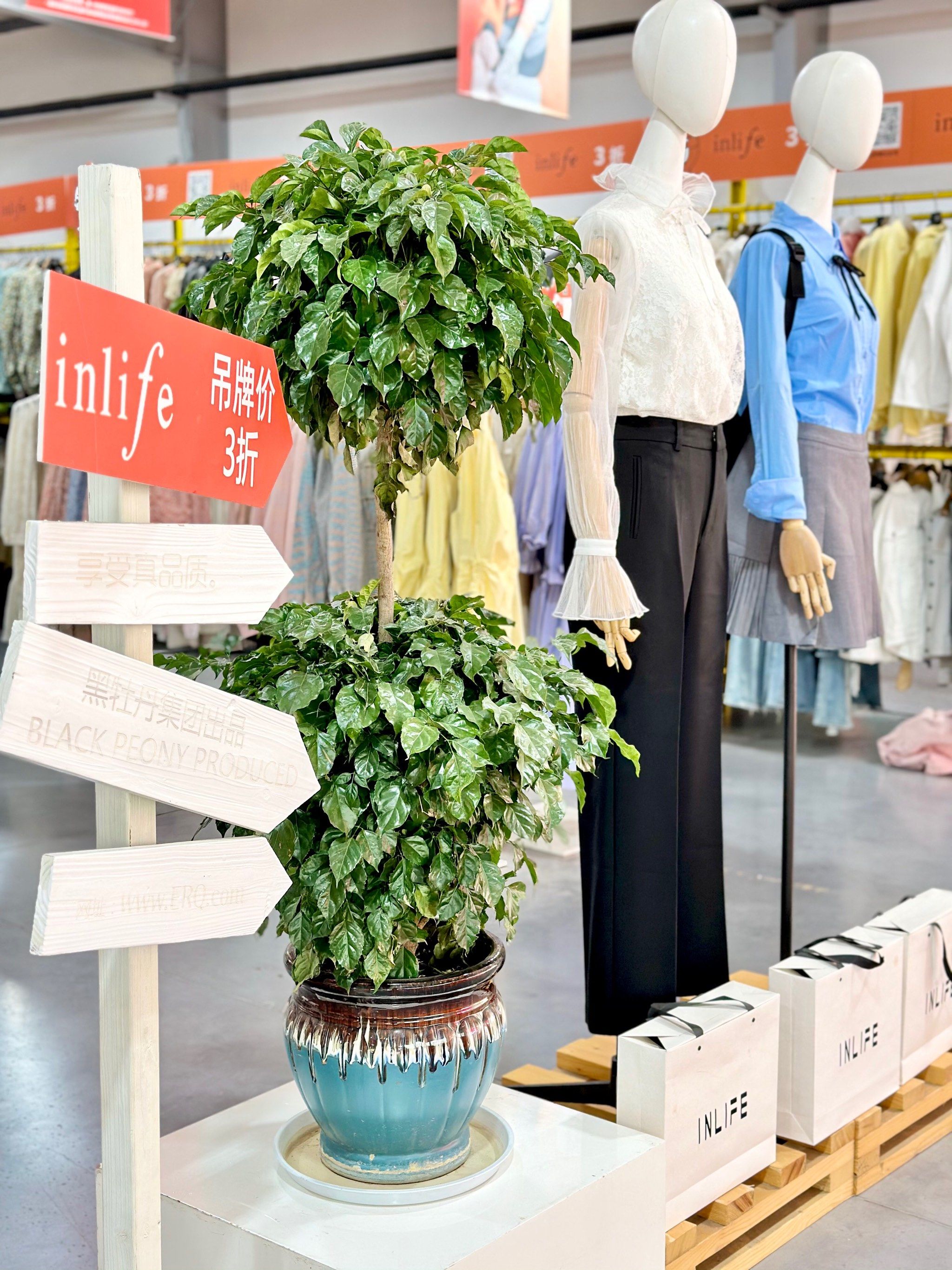 常州黑牡丹科技园大型春季特卖会
二十