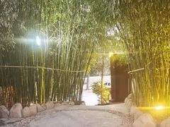 -清雅臻品·竹林院落·新派青岛菜(崂山店)