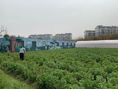 -田园东方蜜桃村的田野营地