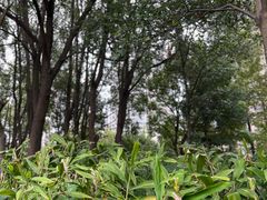 -苏州河梦清园环保主题公园