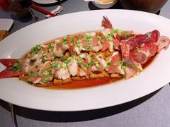 清蒸东星斑-怡情荟•海鲜青岛菜(五四广场旗舰店)