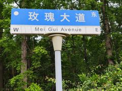 -上海长兴岛郊野公园