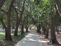 -南沙天后宫景区