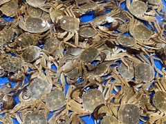 -三江购物(锦诚店)