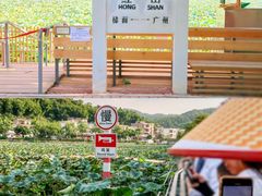 -红山村