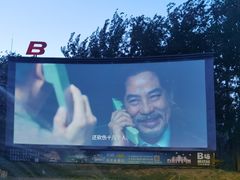 -枫花园汽车电影院(朝阳公园店)