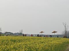 -崔岗艺术村