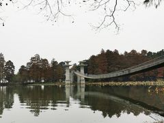 -东湖落雁景区