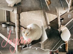 -喜洲吧·江畔老船厂·庭院餐厅(喜临院店)
