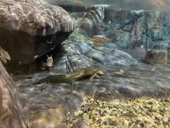 -上海海洋水族馆