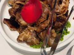 -海派美食·家宴海鲜青岛菜·石锅鲽鱼头(东方城店)