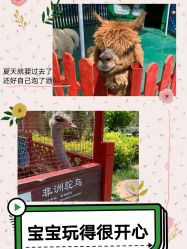 -萌宠亲子动物乐园(槐房万达店)