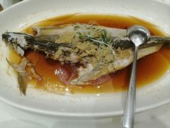 -沪华海鲜大酒楼(南汇店)