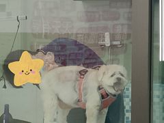 -全心全意动物诊疗中心医院(北苑店)