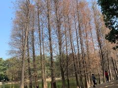 -华南国家植物园-售票处