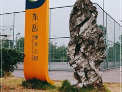 -东岳体育公园