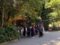 -西双版纳原始森林公园