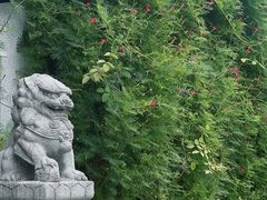 -杭州西湖风景名胜区-满觉陇四眼井