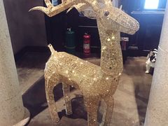 -LYFATTI 莱芙缇(赣水路店)