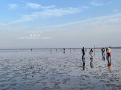 -南汇嘴观海公园