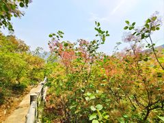 -周口店坡峰岭风景区