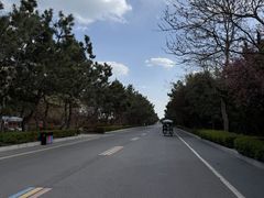 -山东八大碗山东老字号