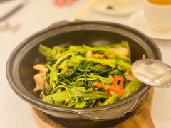 -美心皇宫(沙田大会堂店)