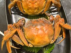 -大葉日本料理·龍蝦任食放題(廣州W酒店)